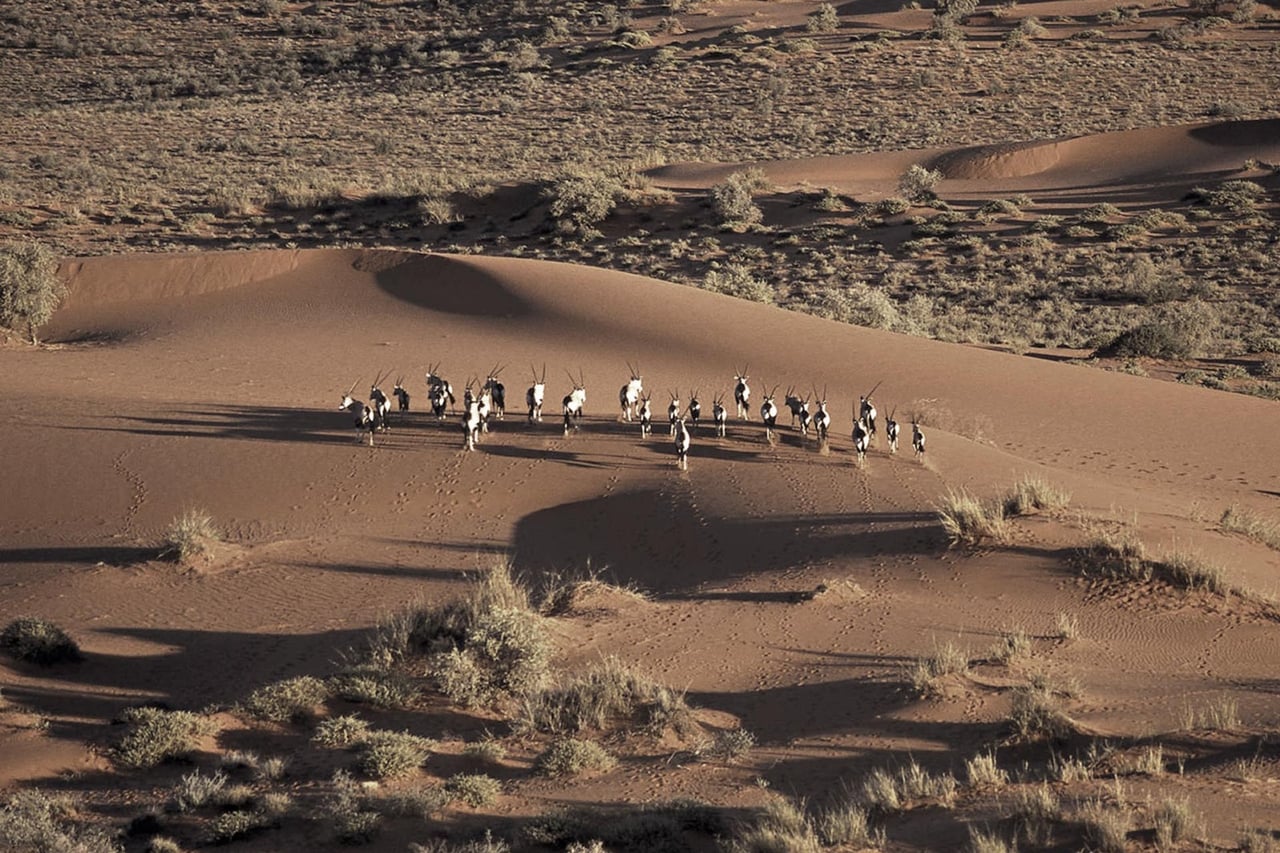 Kalahari Desert, Botswana