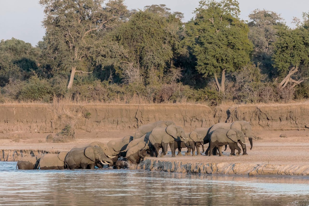Luangwa, Zambia