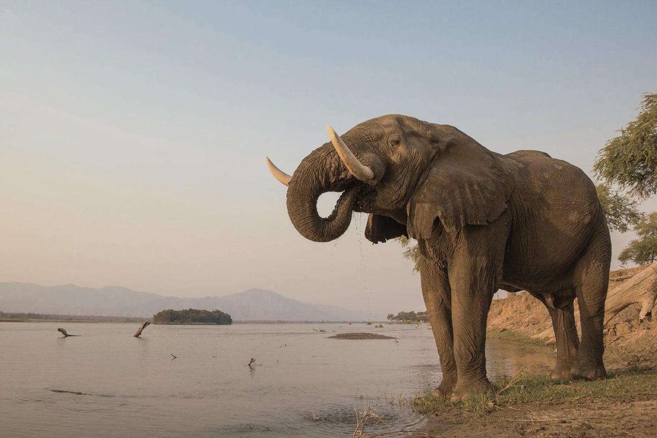 Mana Pools National Park, Zimbabwe