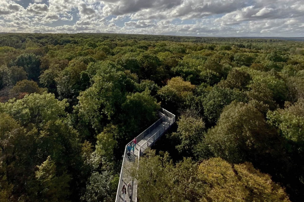 Hainich National Park Germany