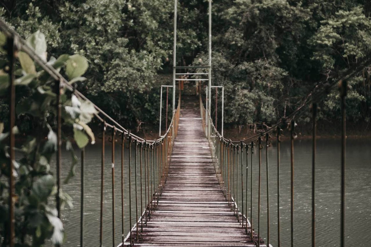 Nyungwe National Park Canopy Walkway Rwanda