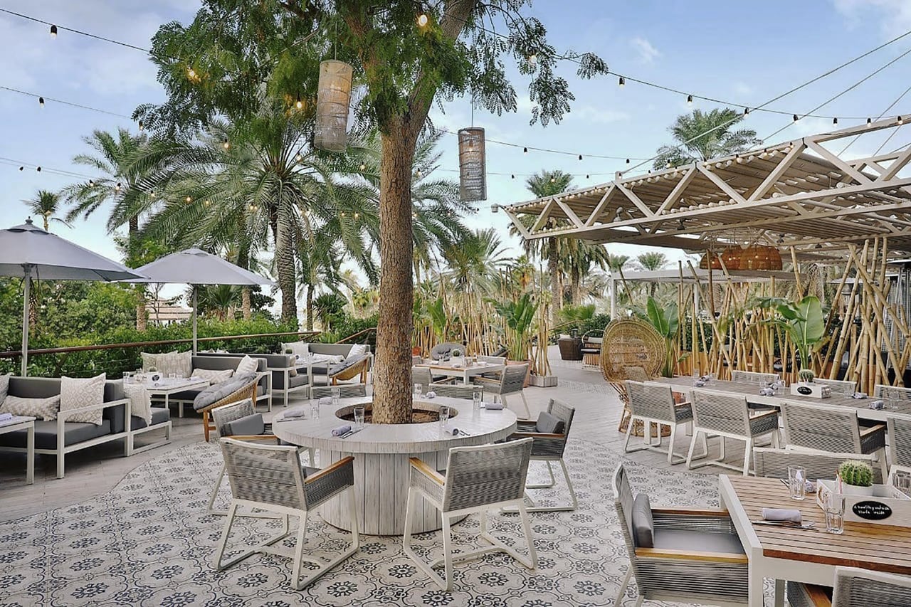 Bounty Beets
