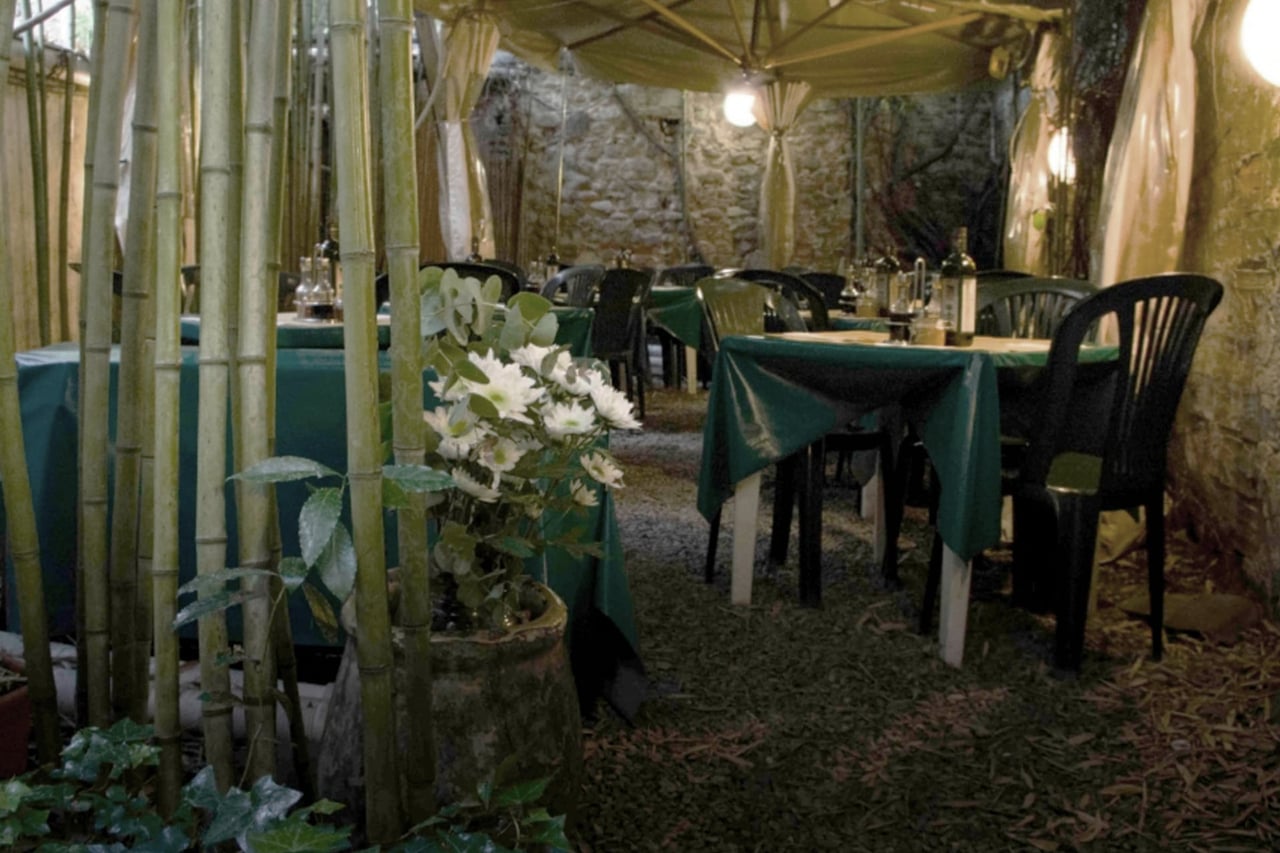 Il Vegetariano