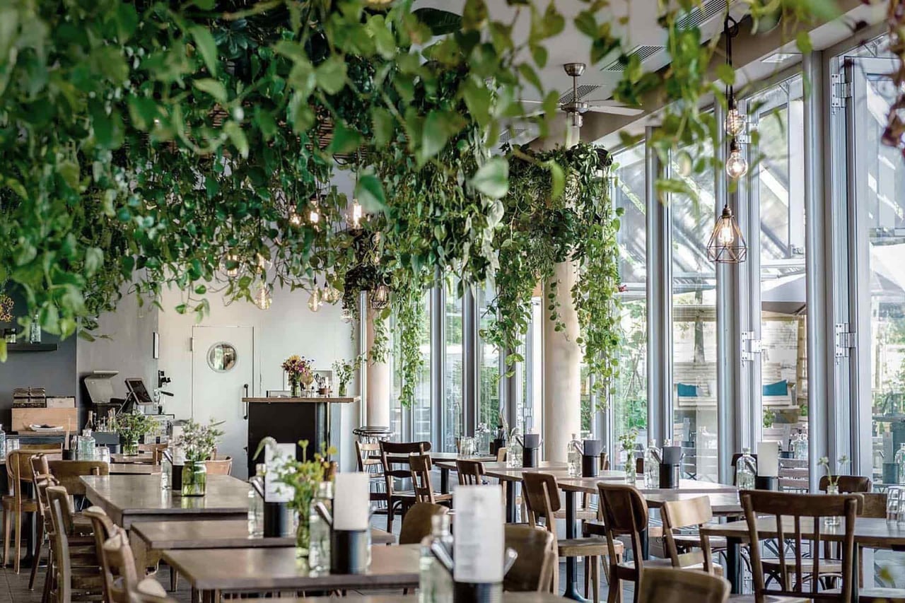Cutting Edge & Cruelty Free: These Vegan Restaurants Epitomize Swiss Precision