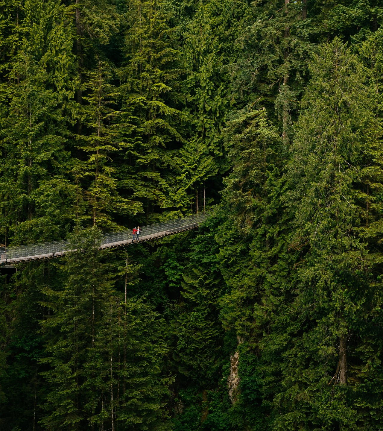 Capilano Suspension Bridge Park