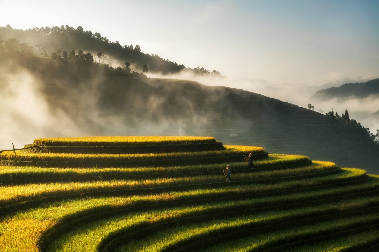 Asia