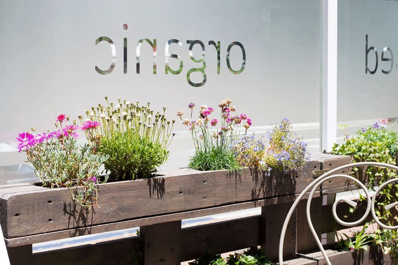 Gioia Plant-Based Cuisine