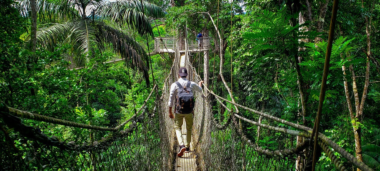 Iwokrama Canopy Walkway