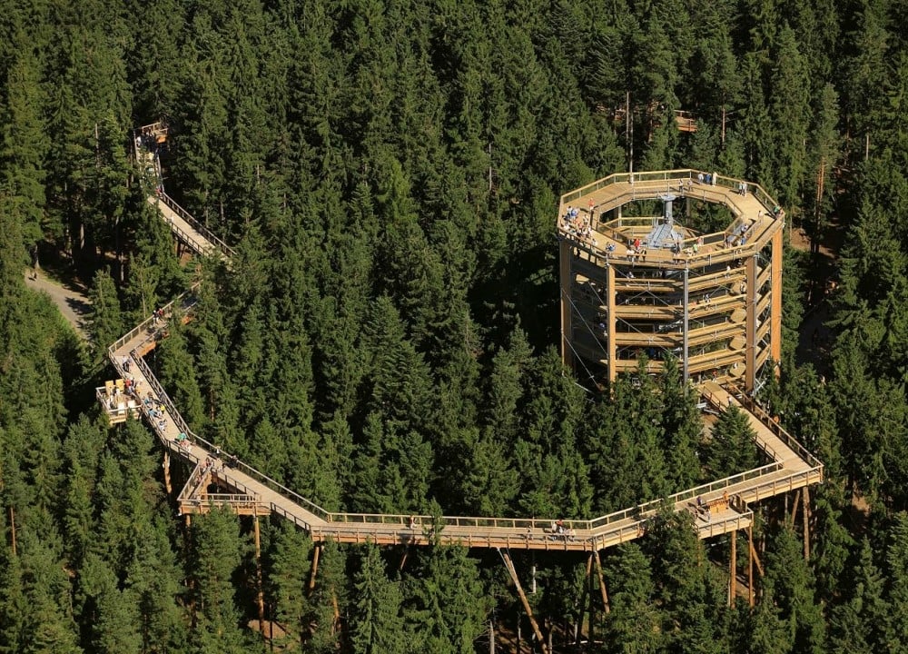 Lipno Treetop Walkway