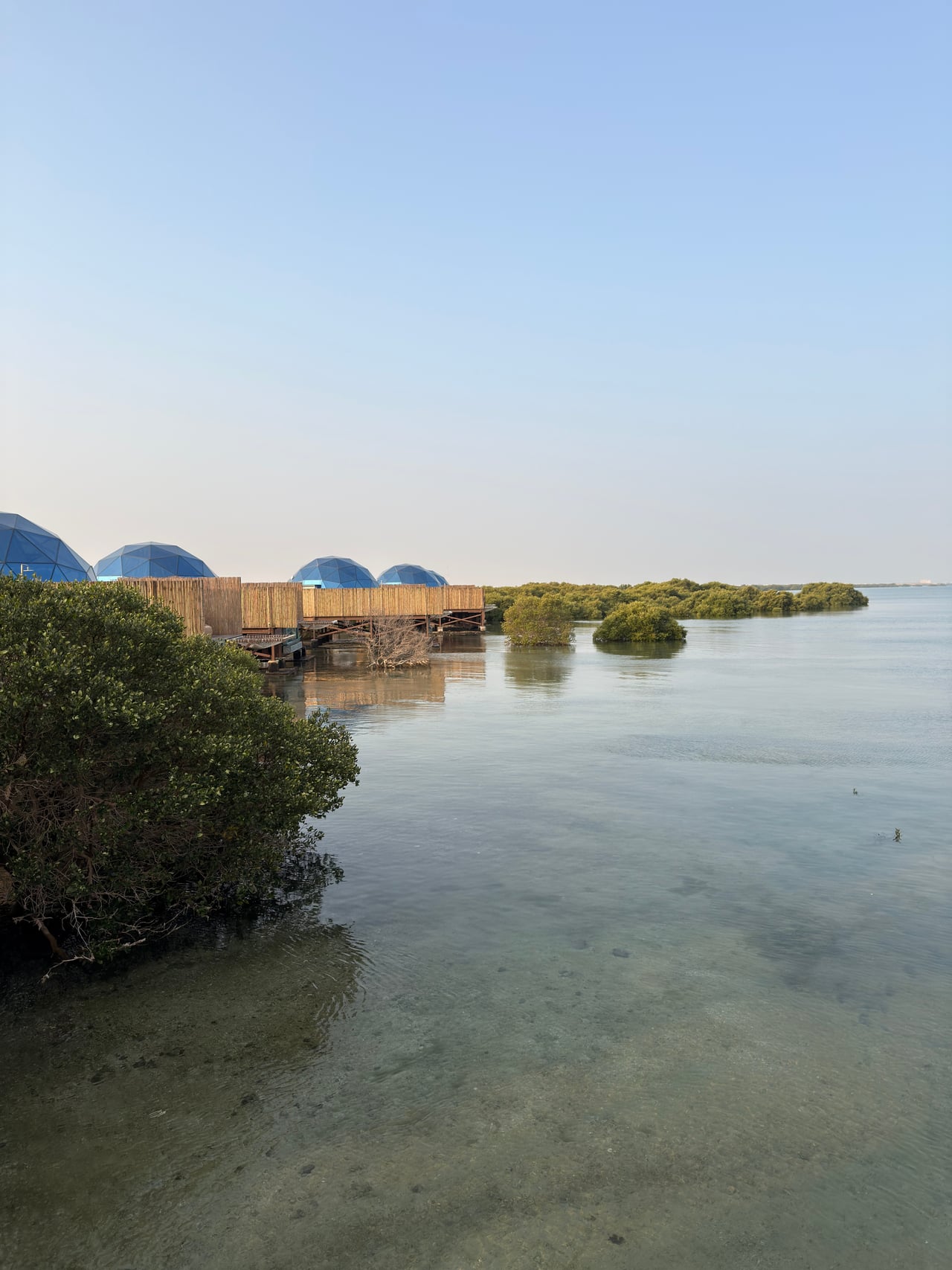 Still mangrove waters in the reserve